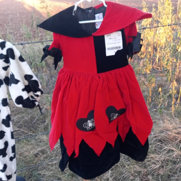 Size 4 Girls Rare "Queen of Hearts" Costume/DressUp Dress - Picture 10 of 10